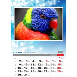 Fotokalendarz z Twoich zdjęć